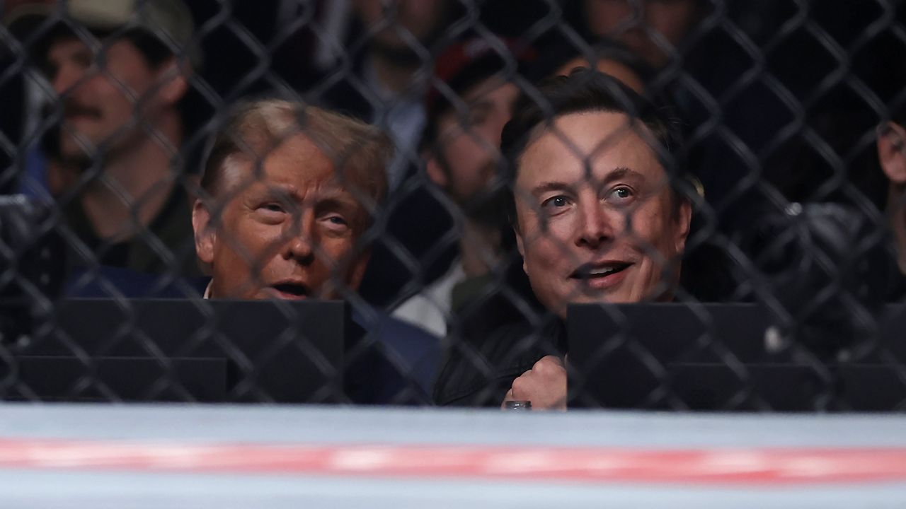 President-elect Donald Trump looks on with Elon Musk, right, at a UFC 309 mixed martial arts flyweight title bout, Saturday, Nov. 16, 2024, in New York. (AP Photo/Adam Hunger)