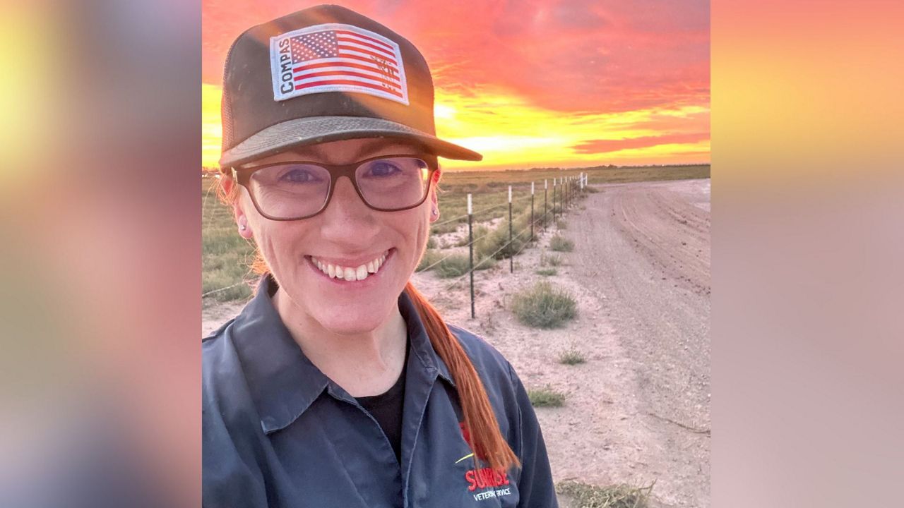 This Texas vet helped crack the mystery of bird flu in cows