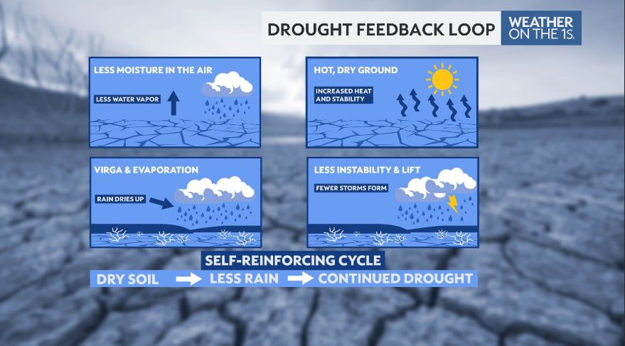 Significant drought prompts extreme fire danger in NC