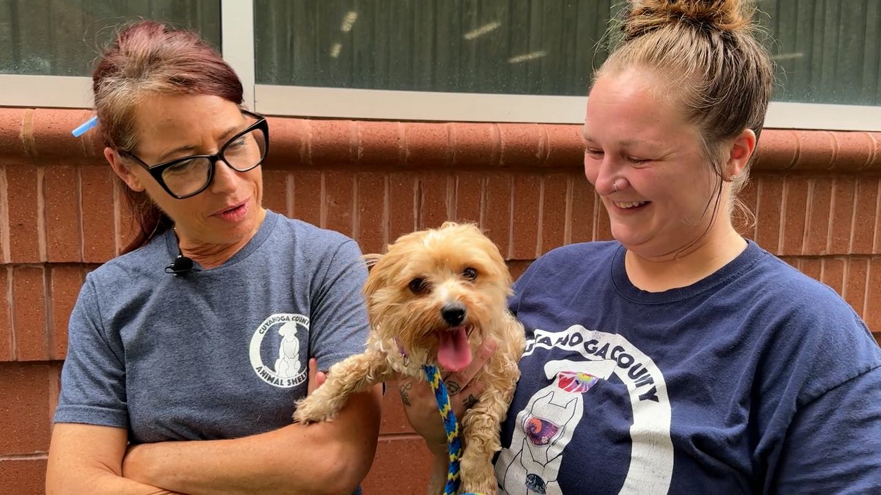Cuyahoga County Warden rescues 8 kittens, cat and dog doused in gasoline during heat wave