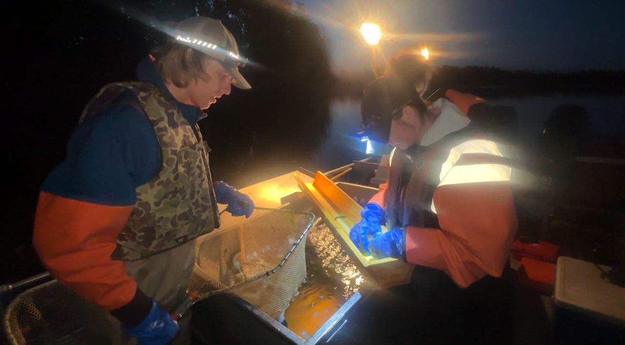 DNR studies impact of winter fish kill in Manitowoc County lake