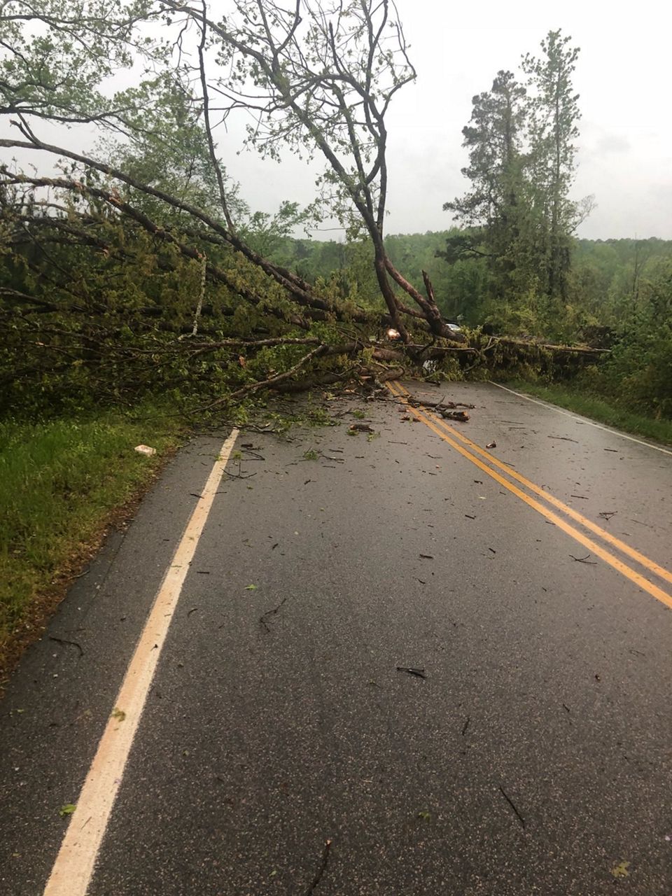 PHOTOS Early Morning Storm Damage Around North Carolina