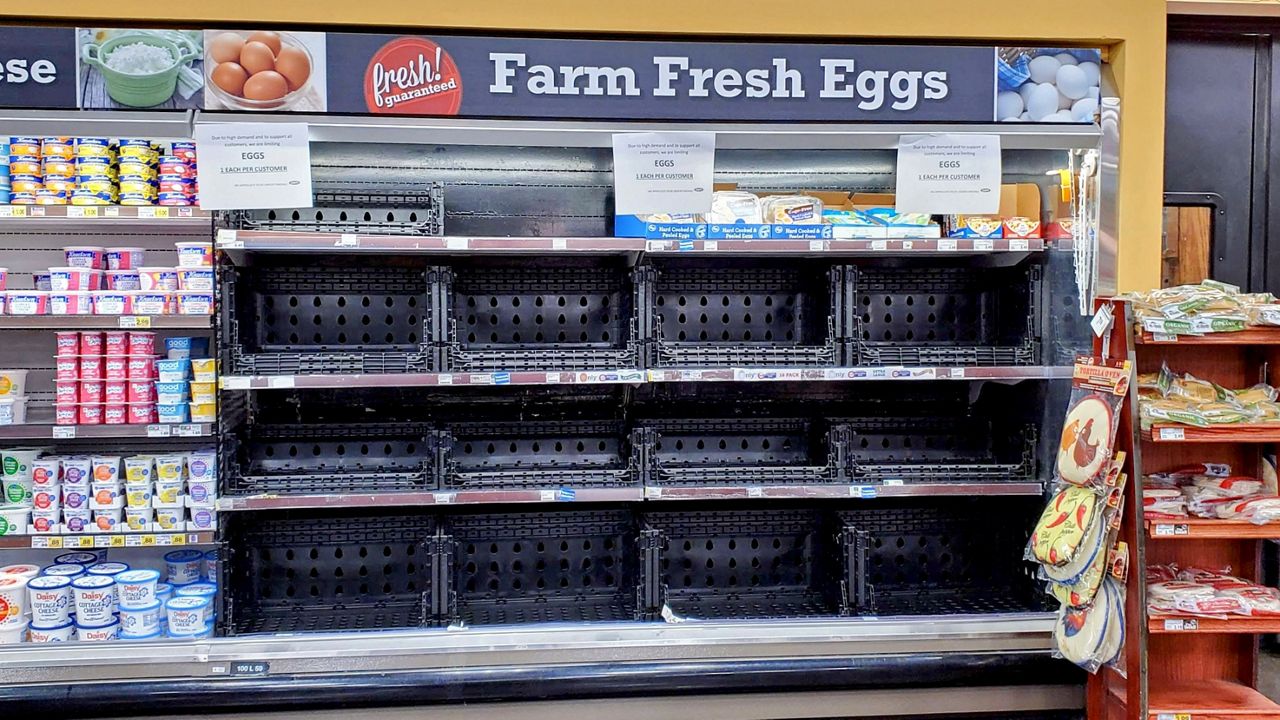 Eggs soared to record prices in January. (Spectrum News/Joseph Pimentel)