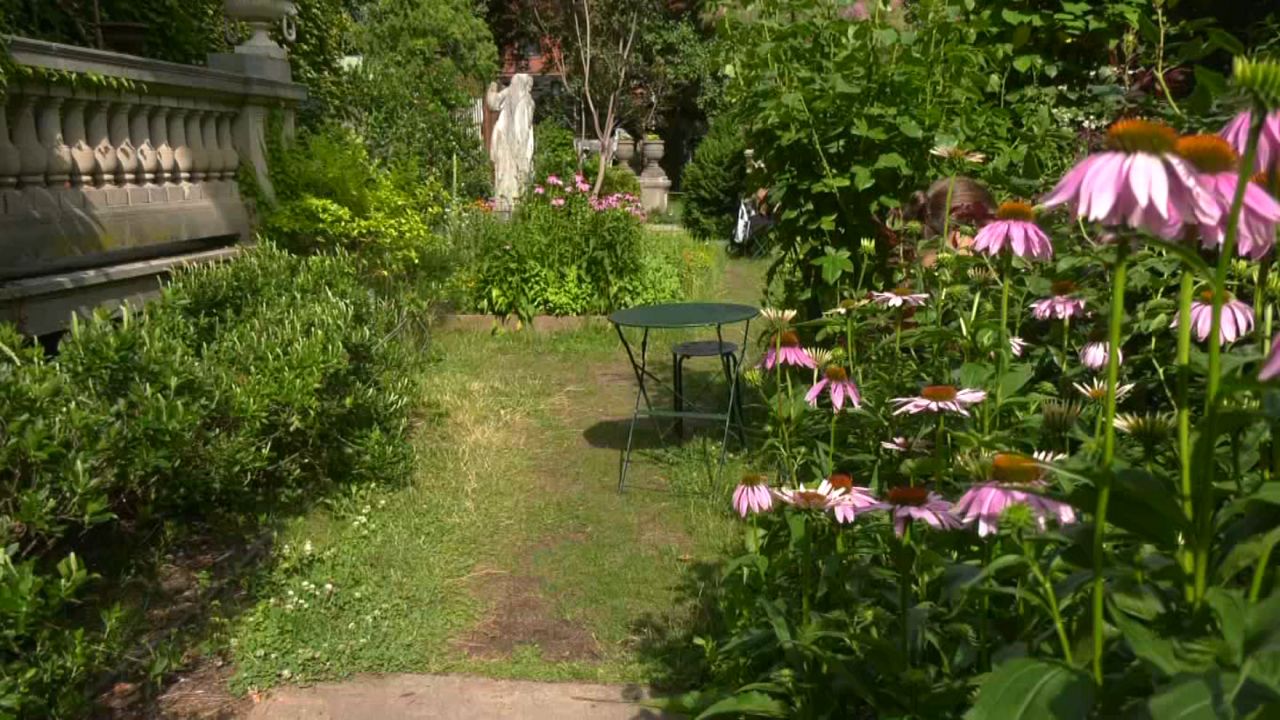 Elizabeth Street Garden eviction temporarily blocked