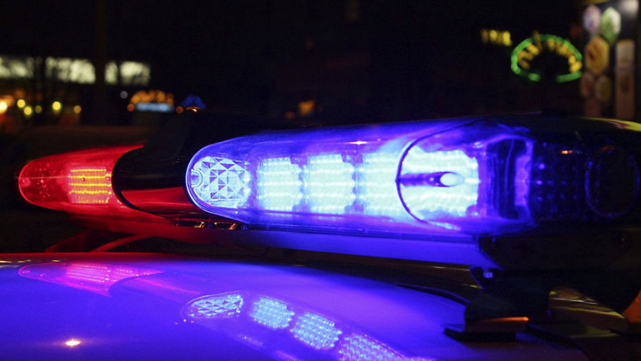 Lights on a police vehicle. (Getty Images)