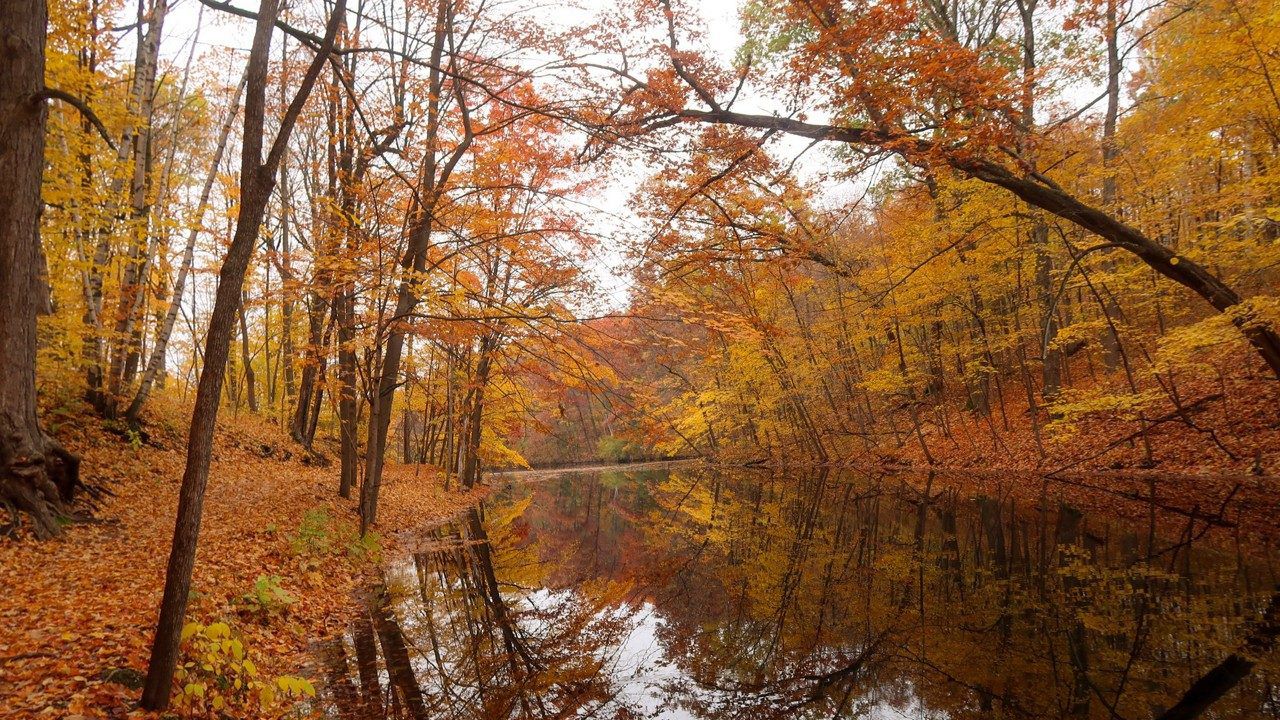 Your guide to fall hikes in Wisconsin