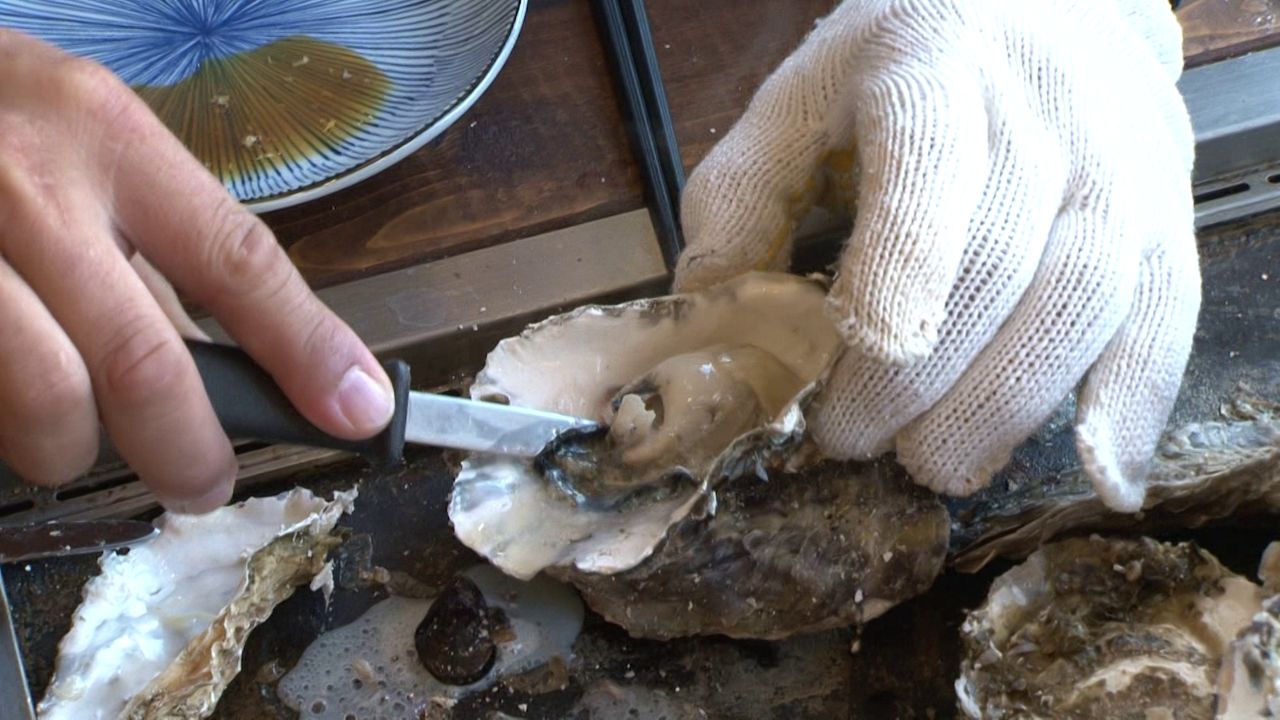 Ocean Fest is holding an "oysterpalooza" Friday, Sept. 20. The event will have local oysters, beer and wine and live music. (Spectrum News)