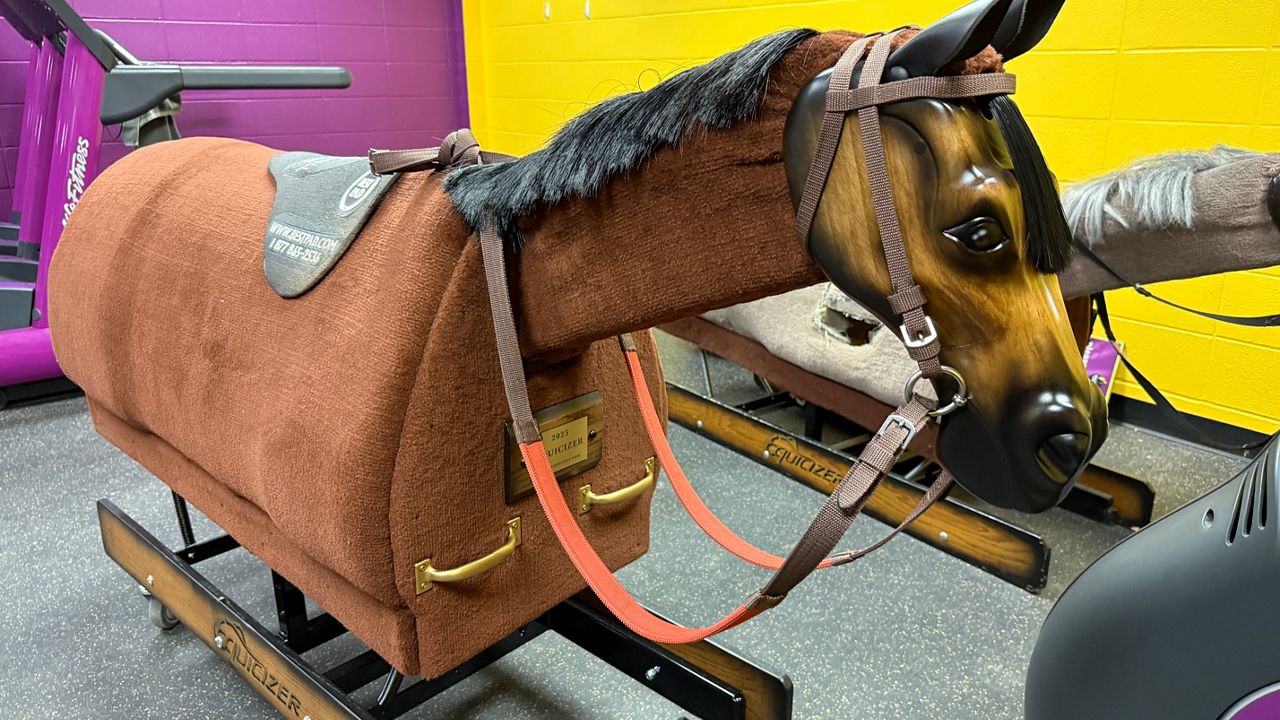 Wooden horse helps jockey health
