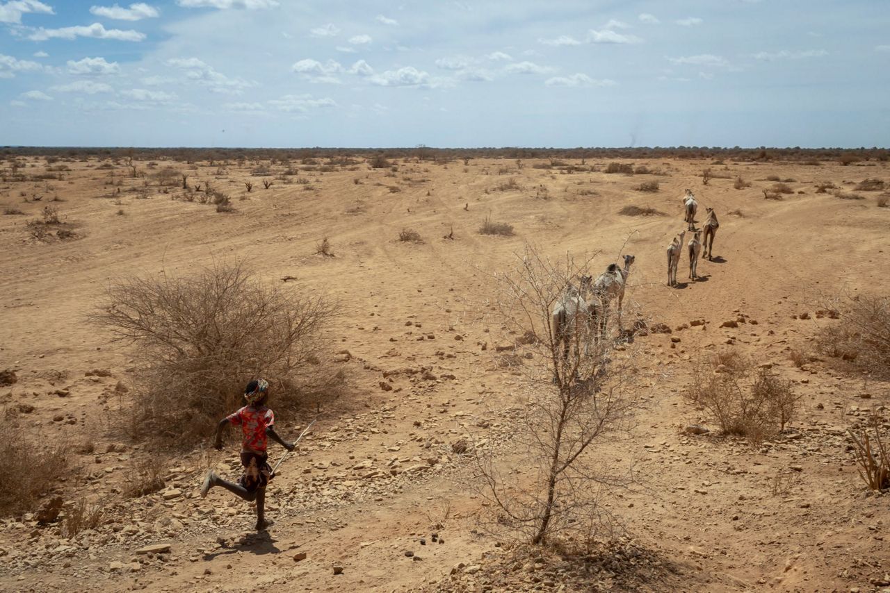 Millions at risk as drought threatens the Horn of Africa