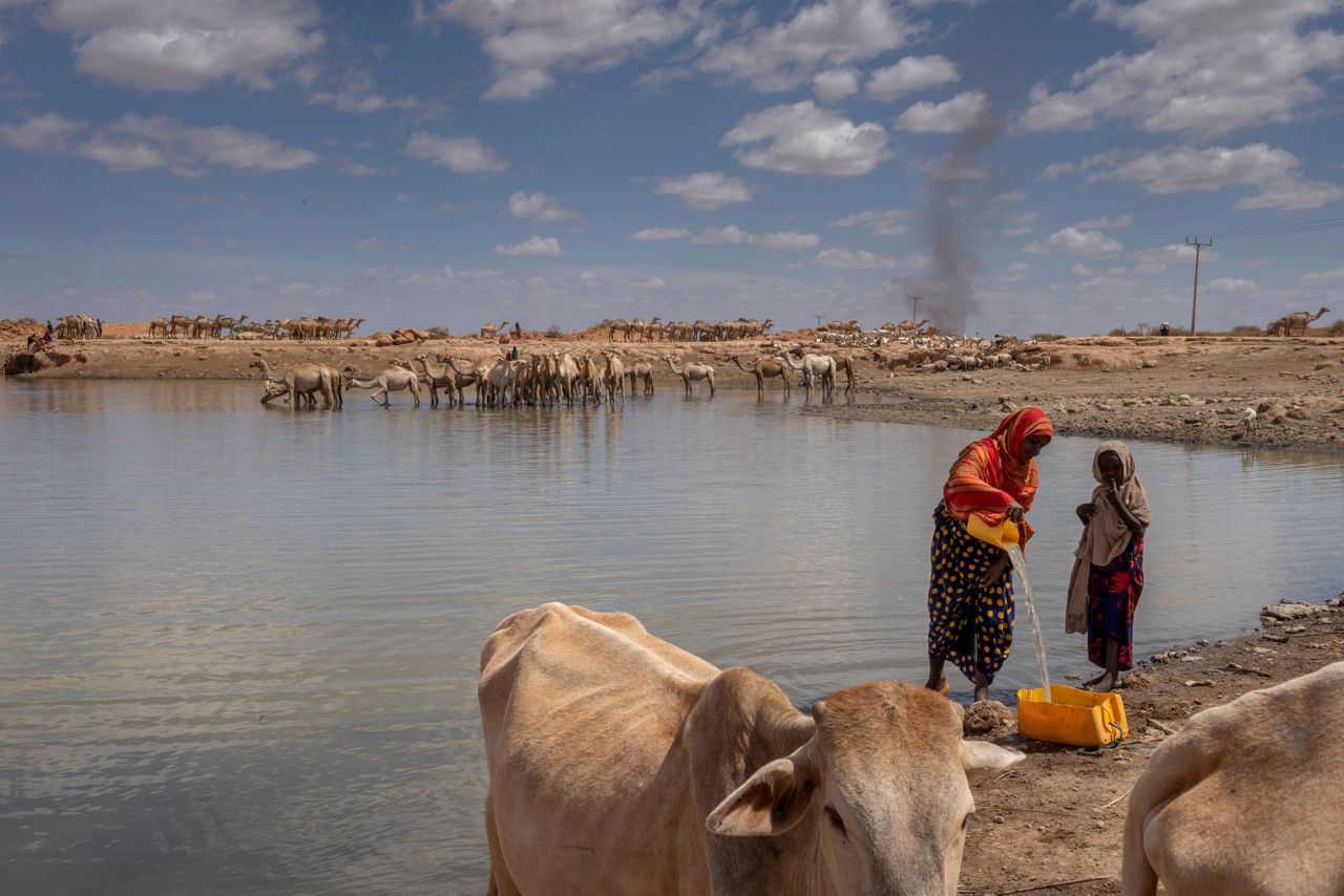 Millions at risk as drought threatens the Horn of Africa