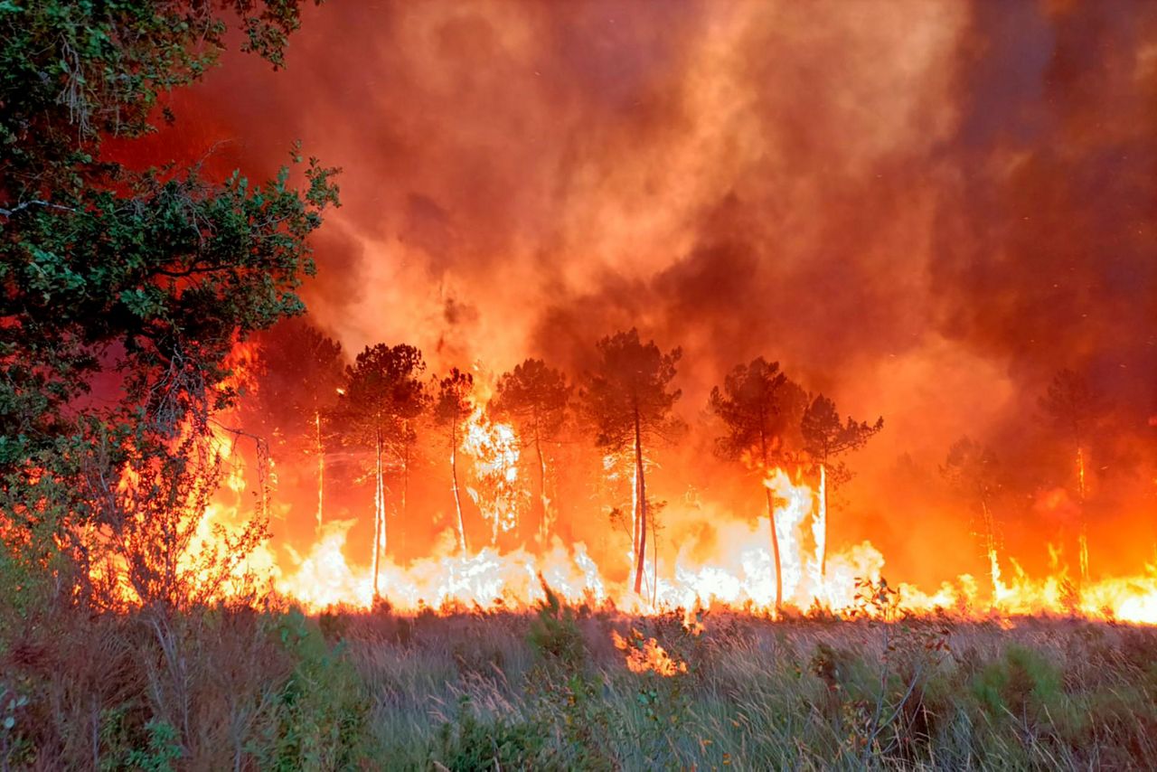 Bordéus queima de raiva, bombeiro morto em Portugal