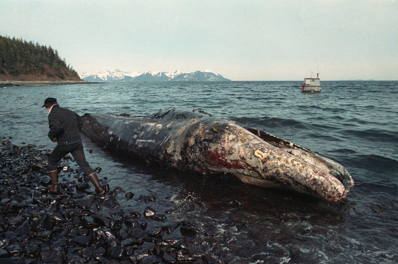 AP PHOTOS: Remembering the Exxon Valdez oil spill