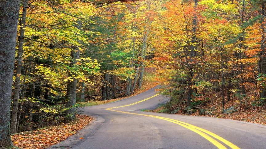 Drought not expected to spoil fall foliage - Vimarsana News
