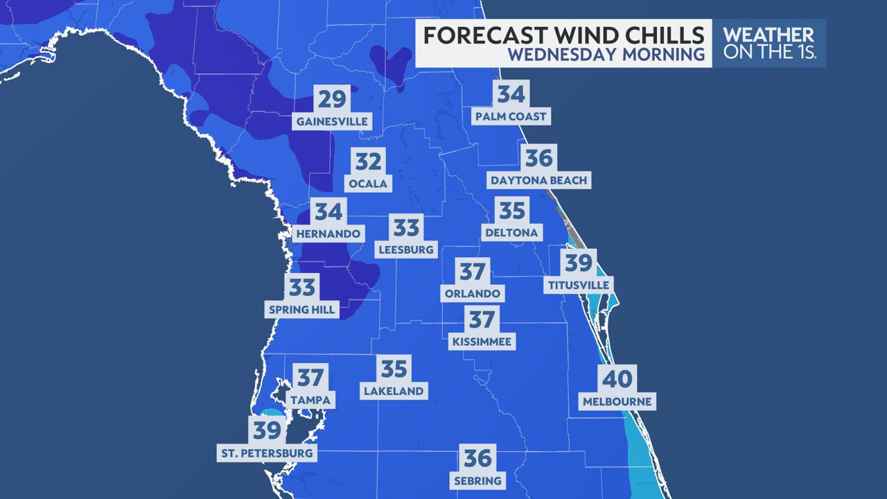 Wednesday morning's forecasted wind chills. (Spectrum News)