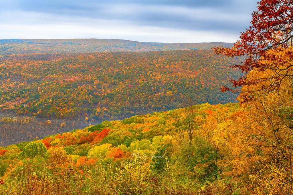 Fall Color Past Peak For Many This Weekend