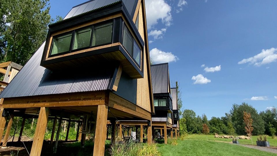 Finger Lakes tree houses