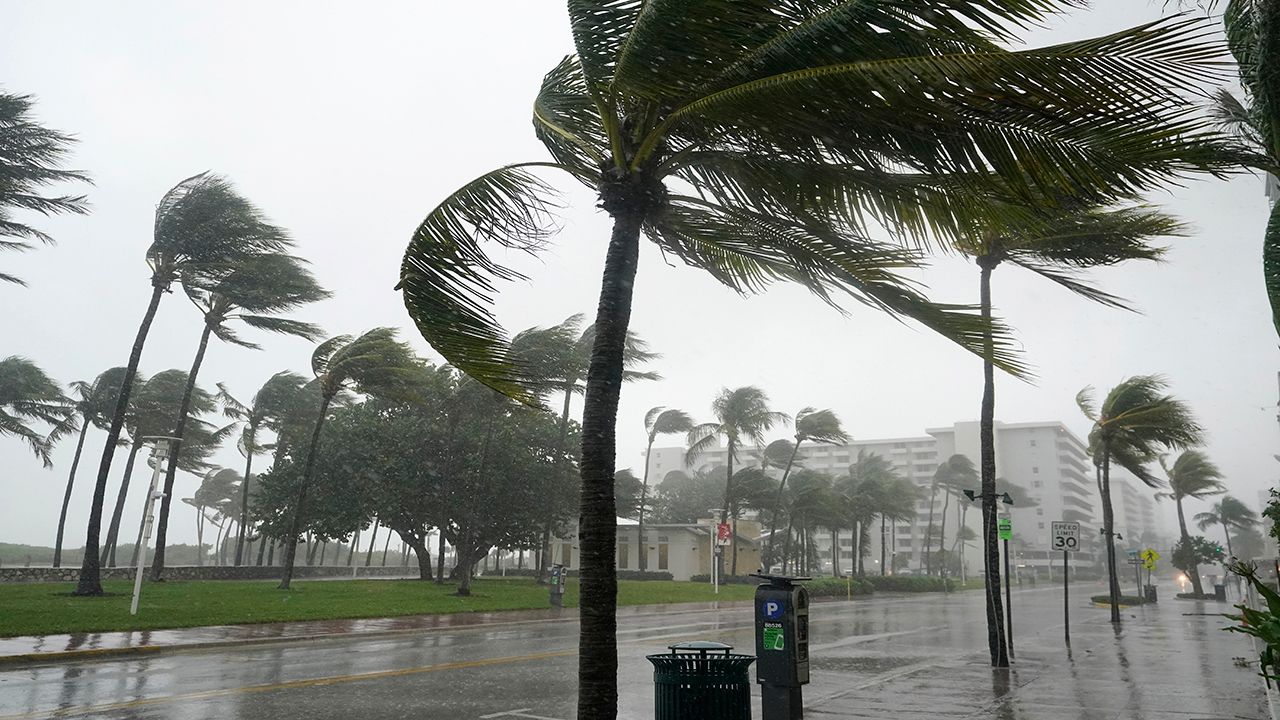 Palm trees blowing in the wind during Hurricane Eta