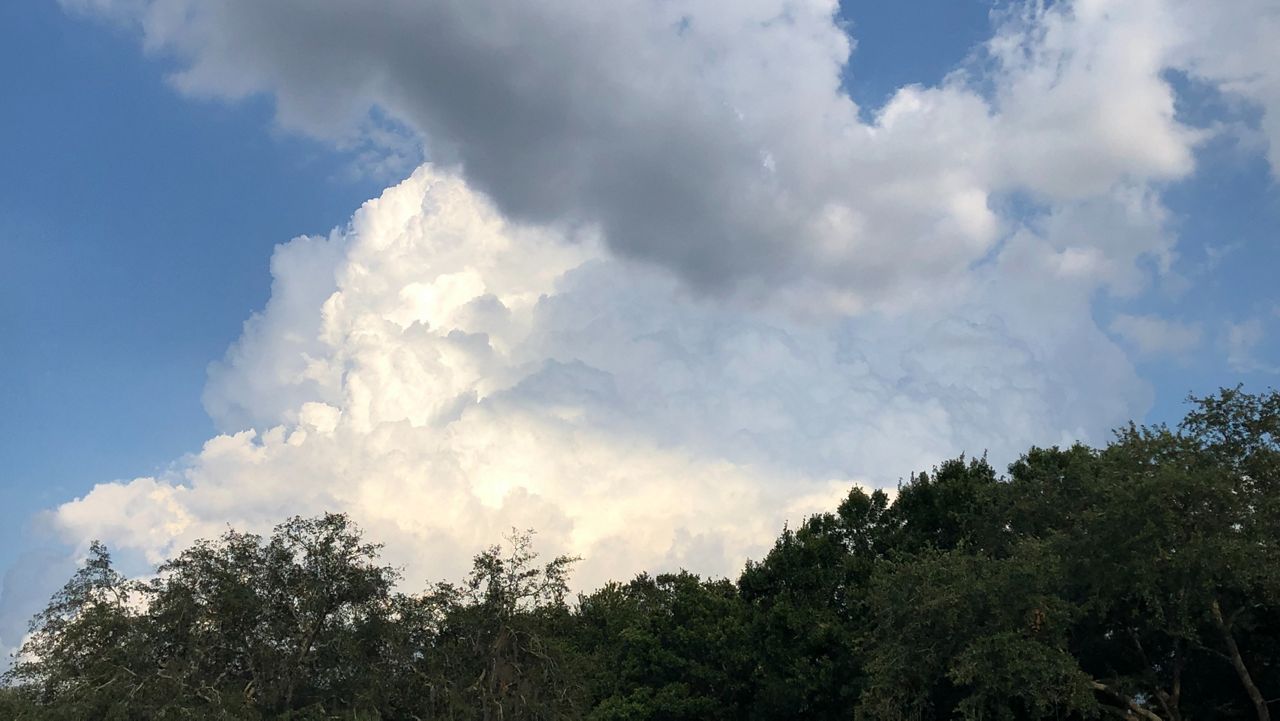 Photo by Spectrum Bay News 9 Staff