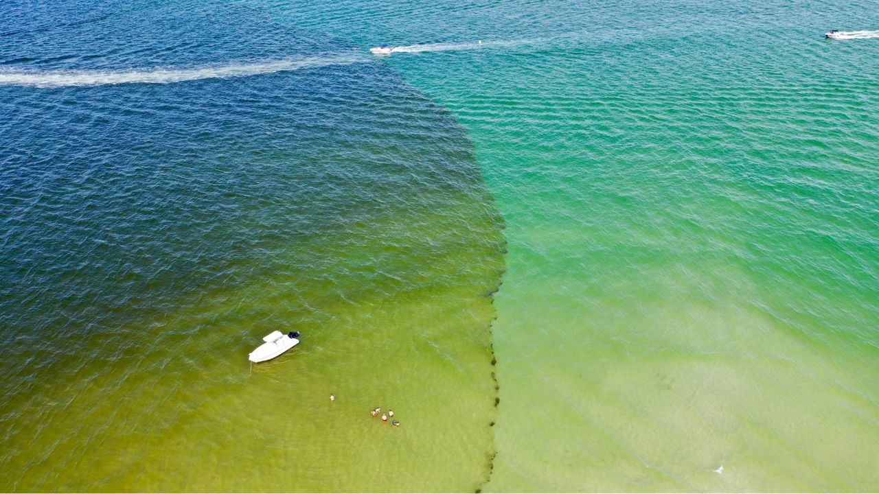 Bill would provide relief for algal blooms - Vimarsana News