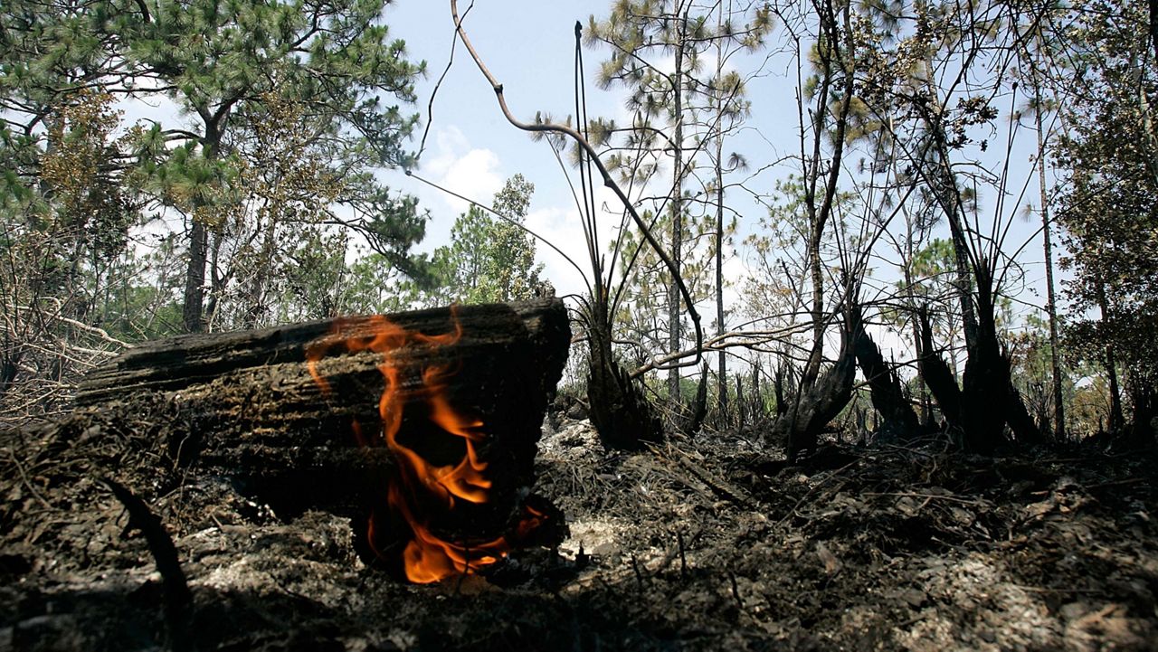 A smoldering log burns after a brush fire was contained near a subdivision in Kissimmee, Fla., Thursday, May 10, 2007. Most of Florida's wildfires have been started by lightning, although the Division of Forestry was investigating nine suspected cases of arson.(AP Photo/John Raoux)