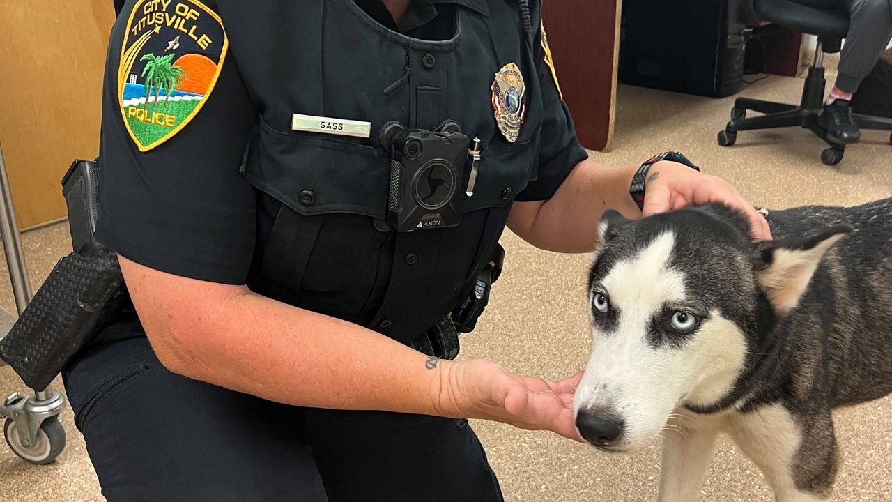 Officer rescues dog found with gunshot wounds in Titusville