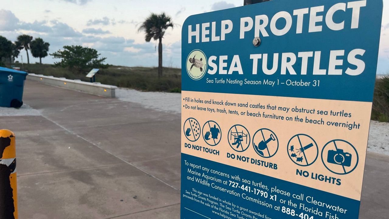 A sign located outside of Treasure Island beach listing the rules in effect for Sea Turtle Nesting Season. (Spectrum News/Angie Angers)