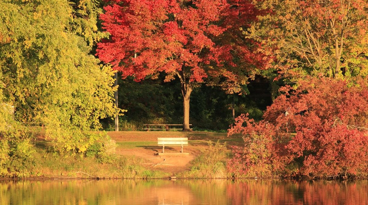 Fall colors taking over Wisconsin