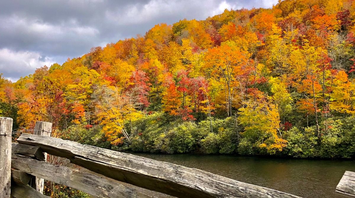 Fall foliage in North Carolina