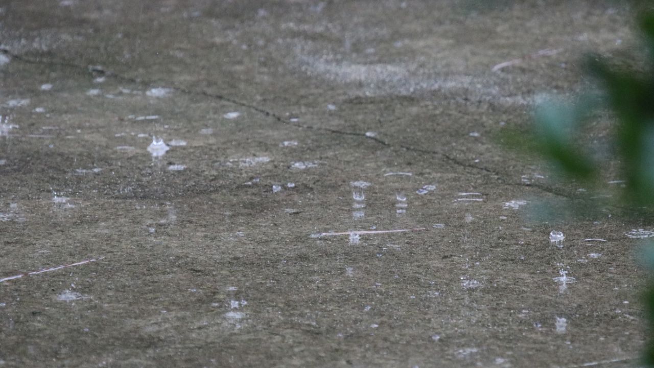 Rainy pattern this week