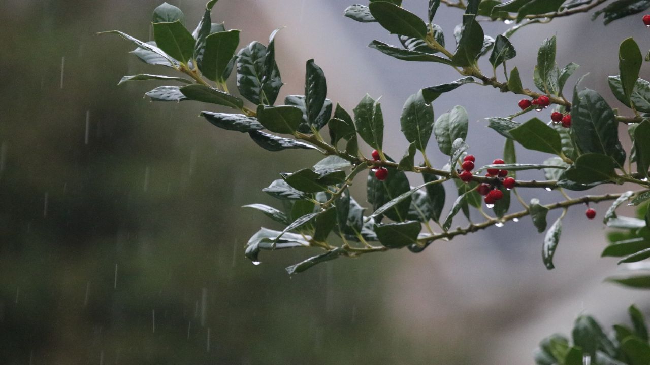 Wet Winter for Texas