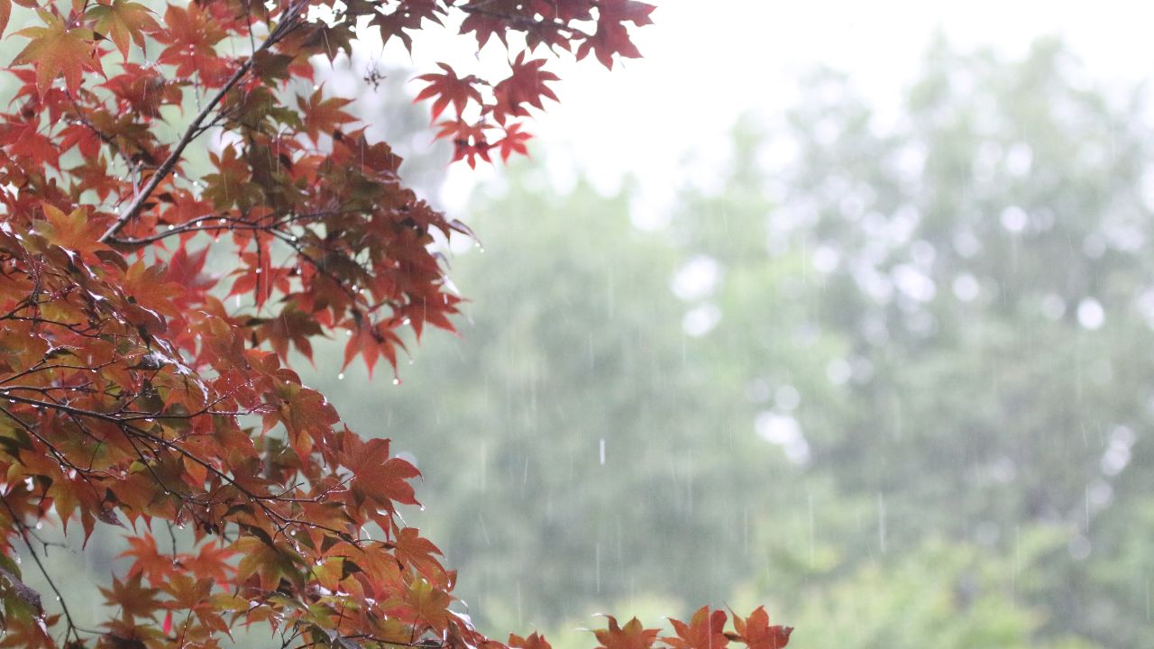 Wet and windy weather across New England tonight