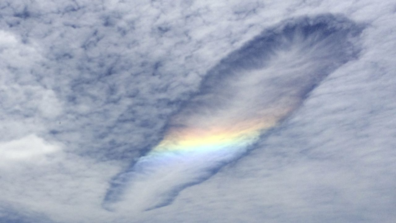 Taking a piece of the sky: How hole-punch clouds form