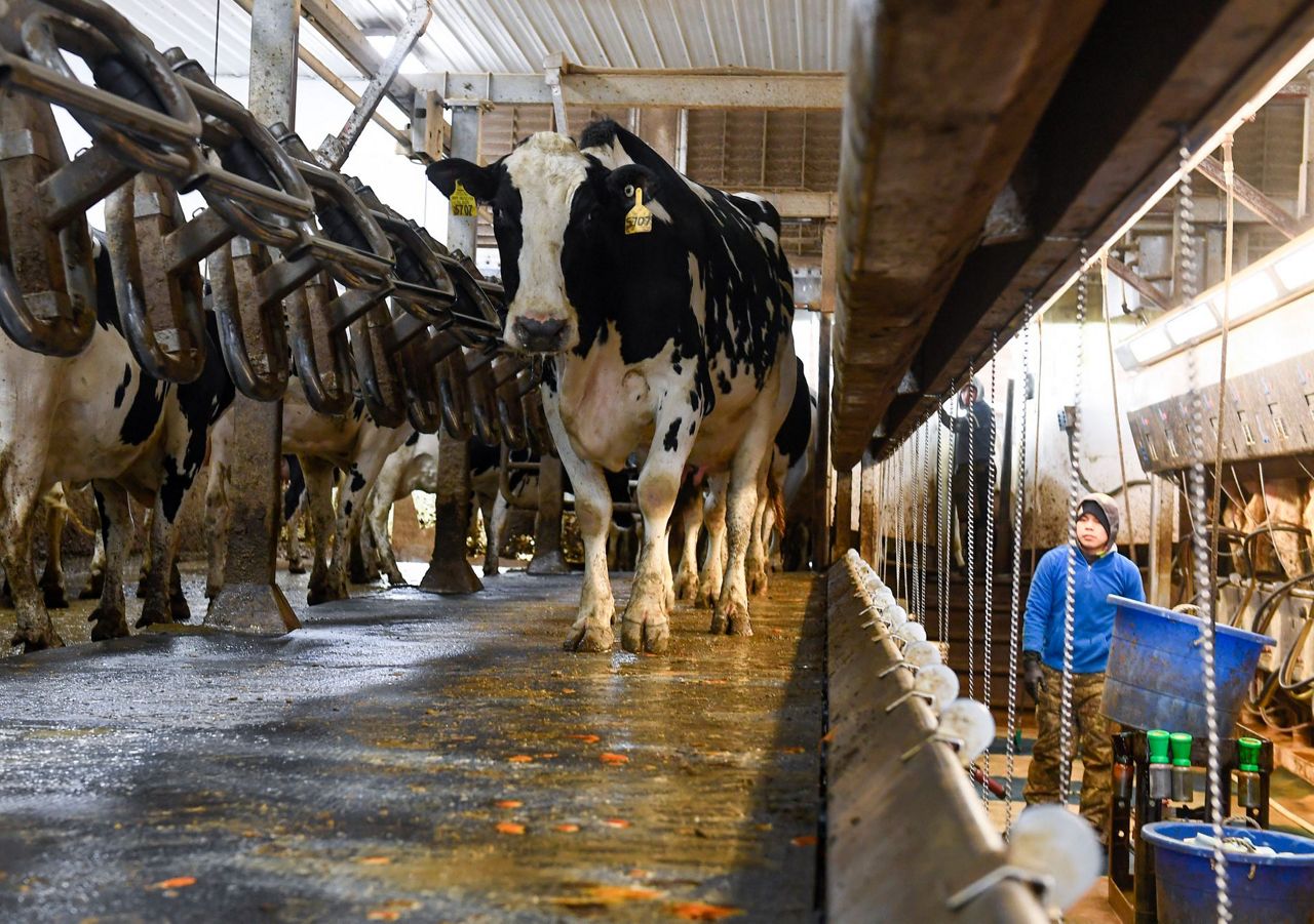 Farmers alarmed as NY looks at expanded OT for their workers