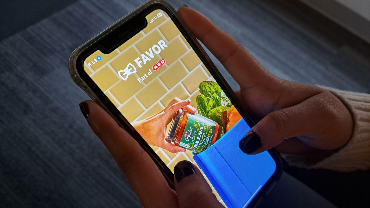 A customer uses the Favor delivery app. (Spectrum News 1/FILE)