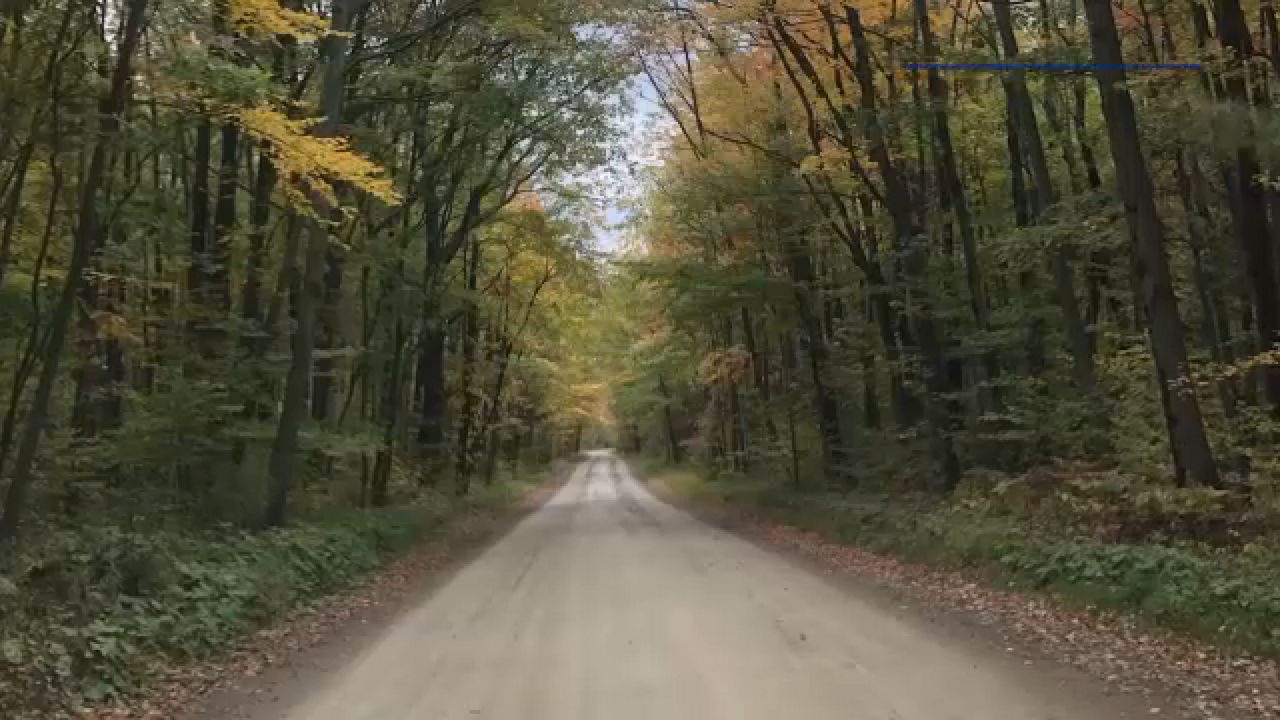 Finger Lakes National Forest (Courtesy of Seneca Lake Guardian)