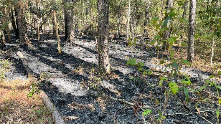 The National Park Service is asking for the public's help to figure out who may have started the fires over the weekend. (NPS)