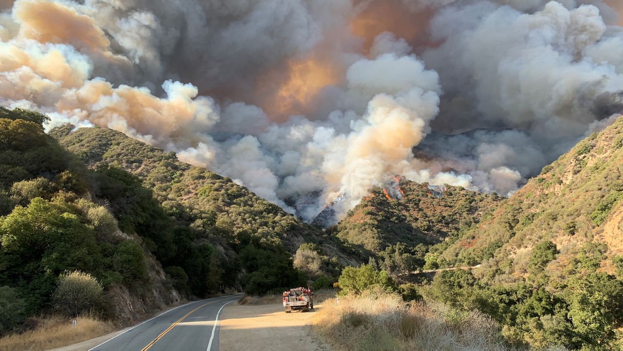 Wildland Fire Threatens Maunakea'S Delicate Ecosystem – The Urgent Truth - 3kj652j