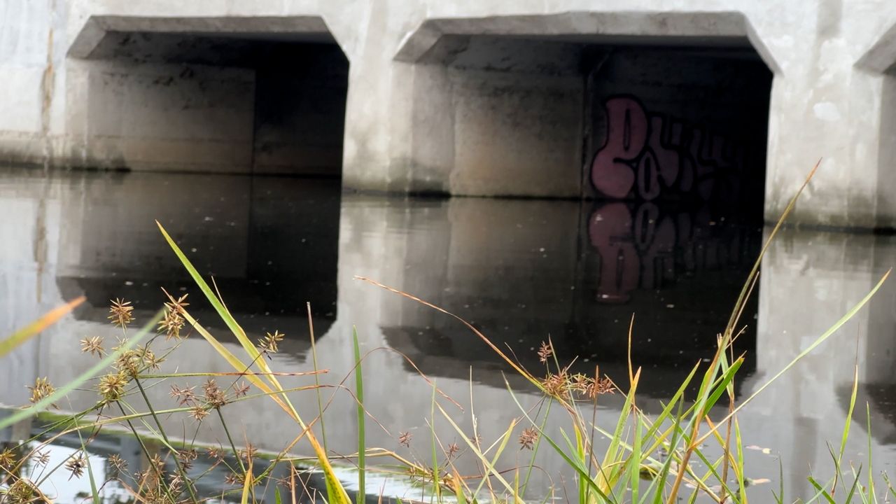 Flood insurance prices for some Pinellas Park homeowners may decrease