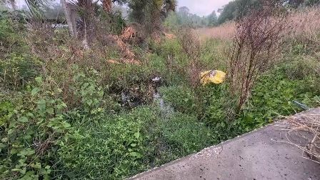 Osteen resident says clogged FDOT ditch near State Road 415 floods his property