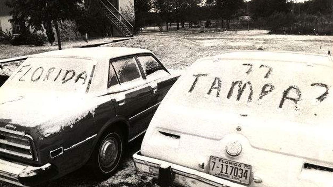 Snow on cars in Tampa Bay on Jan. 19, 1977. (Tampa Bay Times)