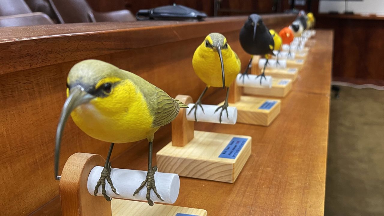 Forest bird carvings from Bernice Pauahi Bishop Museum. (Photo courtesy of Hawaii Department of Land and Natural Resources)