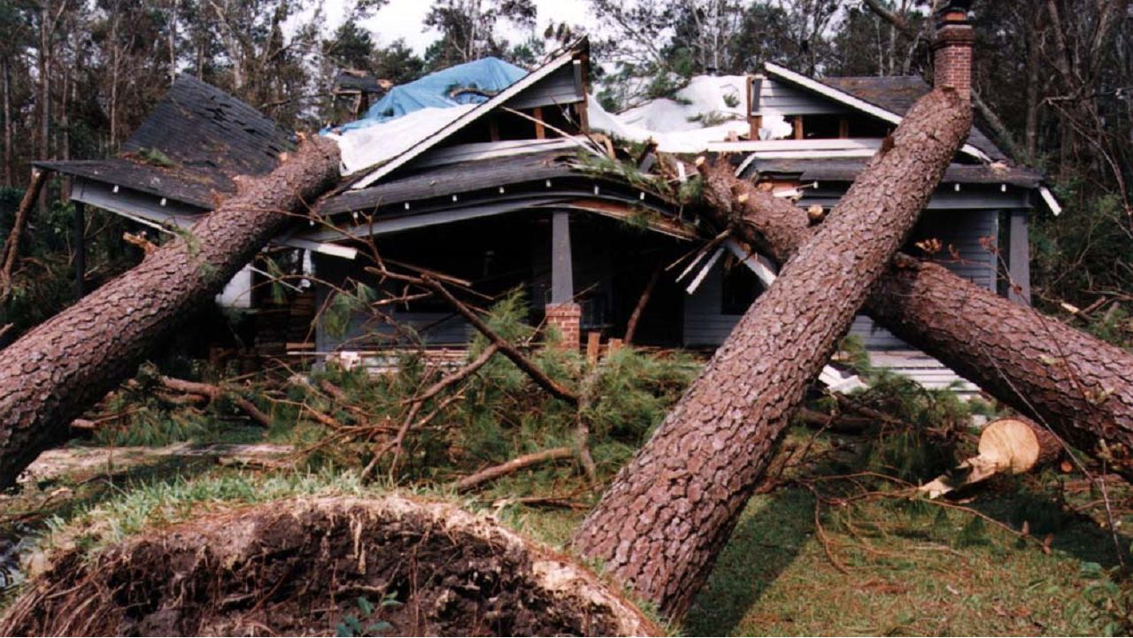 Hurricane Fran damage.  (FEMA photo)