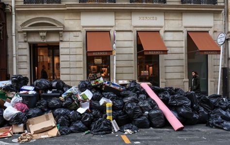 York street becomes 'public health hazard' as bin bags are left uncollected  for days