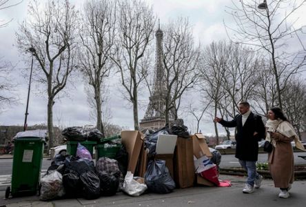 York street becomes 'public health hazard' as bin bags are left uncollected  for days