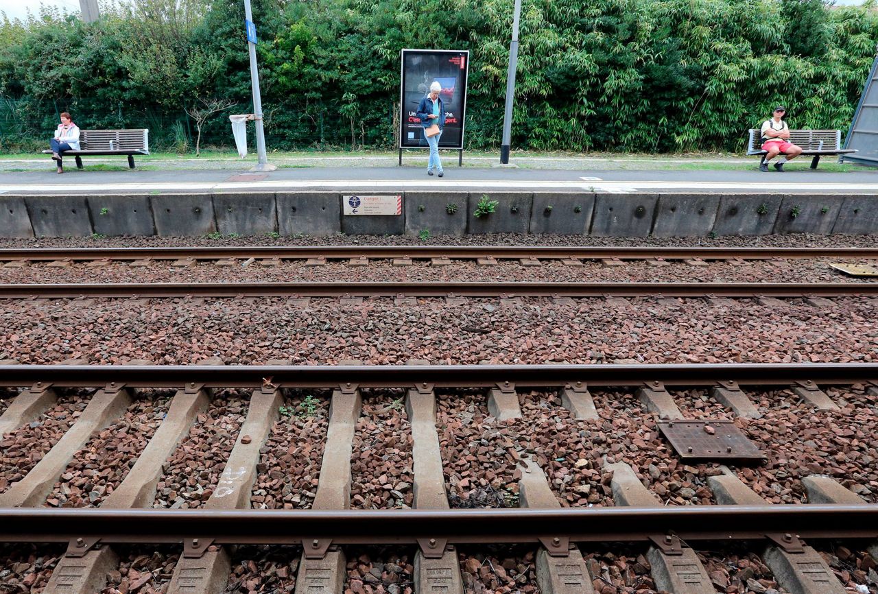 French rail routes disrupted by strike over train security