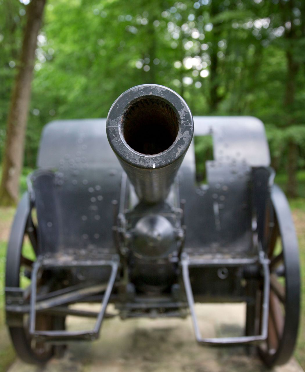 World War I battle of Bellau Wood was a turning point for US