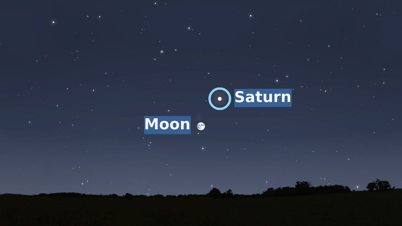 Simulation of the sky early Wednesday night, showing the moon and Saturn. (Adapted from Stellarium)