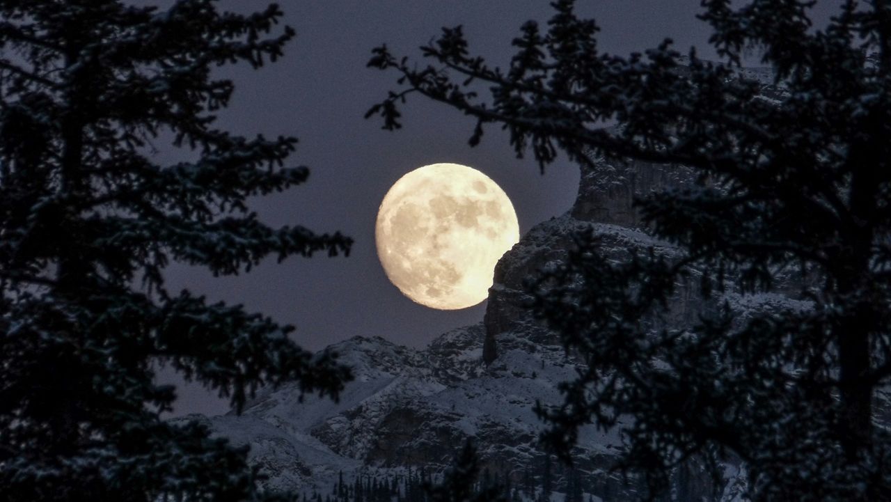 Look for the Full Wolf Moon this week