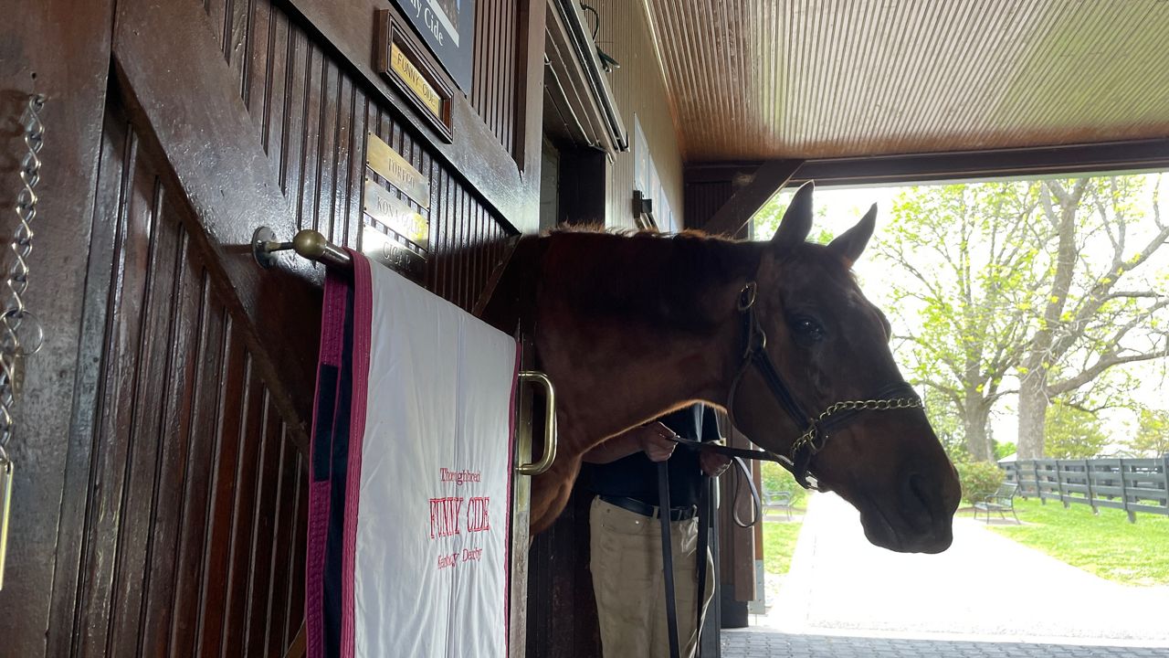 Funny Cide, 2003 Kentucky Derby and Preakness winner, dies