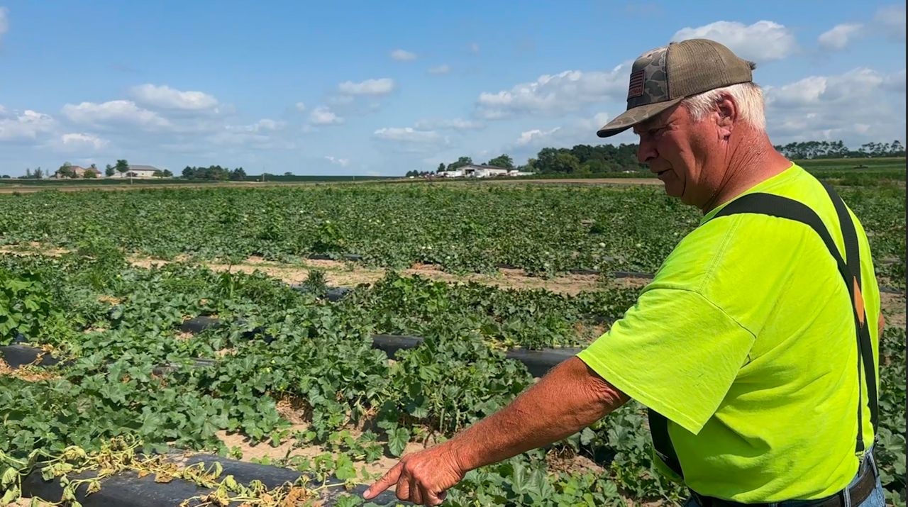 Wisconsin farmer exercises caution after cyclosporiasis outbreaks